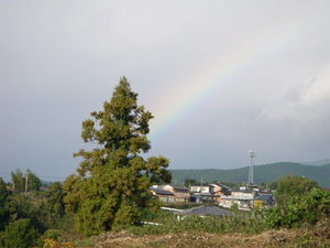 今日は現場お休みです