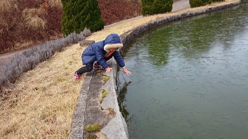 山茶花高原ハーブ園　水も凍る寒さ